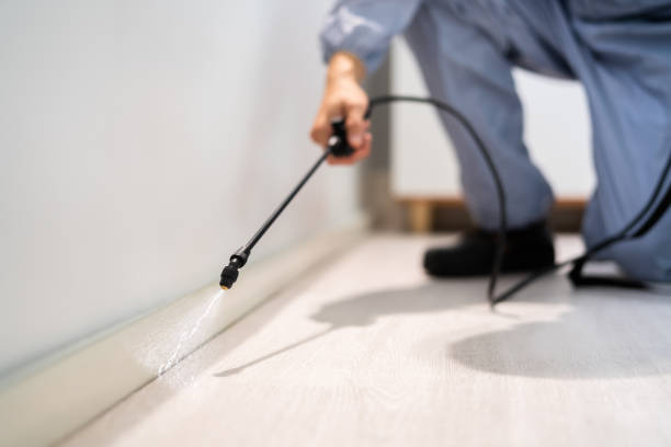 Licensed Mosquito Control service in Lebanon, IL - Show Me Pest Control