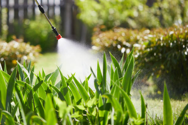 24/7 Emergency Mosquito Control experts in Lebanon, IL